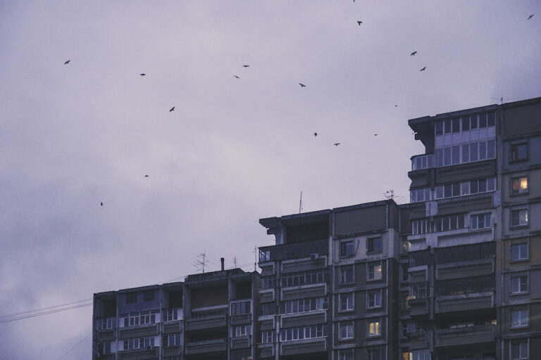 apartment builidngs with birds in the background