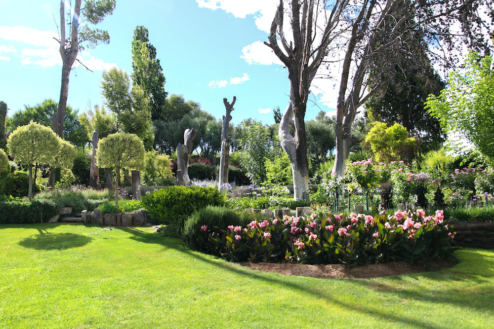 A large garden